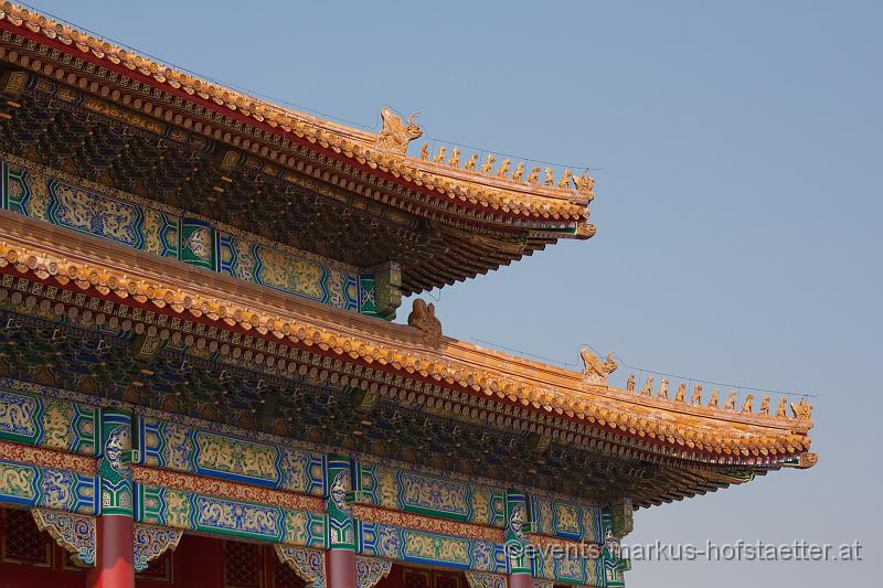 _MG_7397.jpg