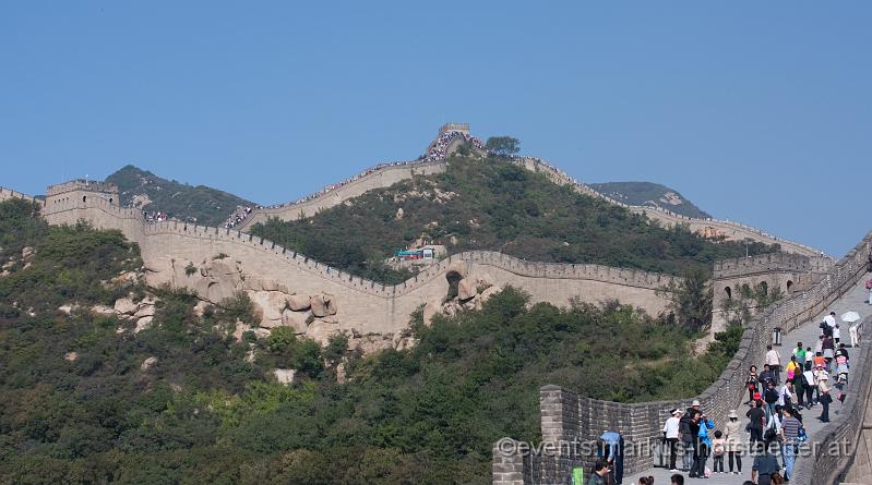 _MG_7494.jpg