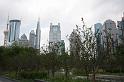 _MG_6654