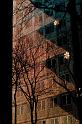 _MG_0348