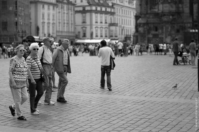 _MG_0755.jpg