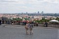 _MG_0901