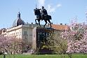 IMG_3516