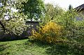 IMG_4564