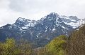 IMG_4590