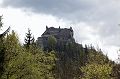 IMG_4597