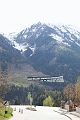 IMG_4610