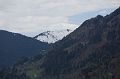 IMG_5494
