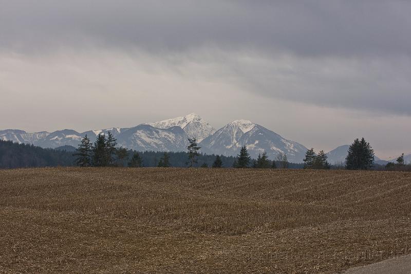 _MG_2277.jpg