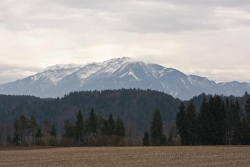 _MG_2279.jpg