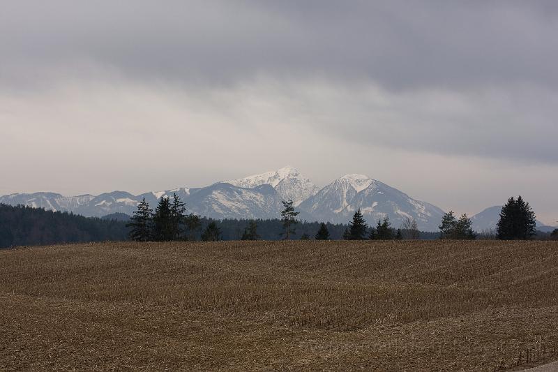 _MG_2286.jpg