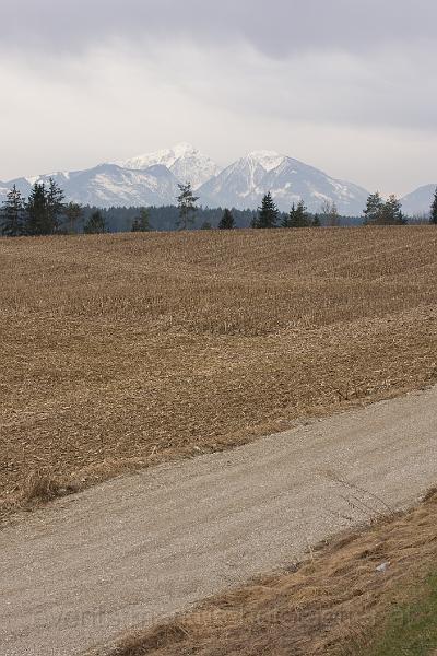 _MG_2292.jpg