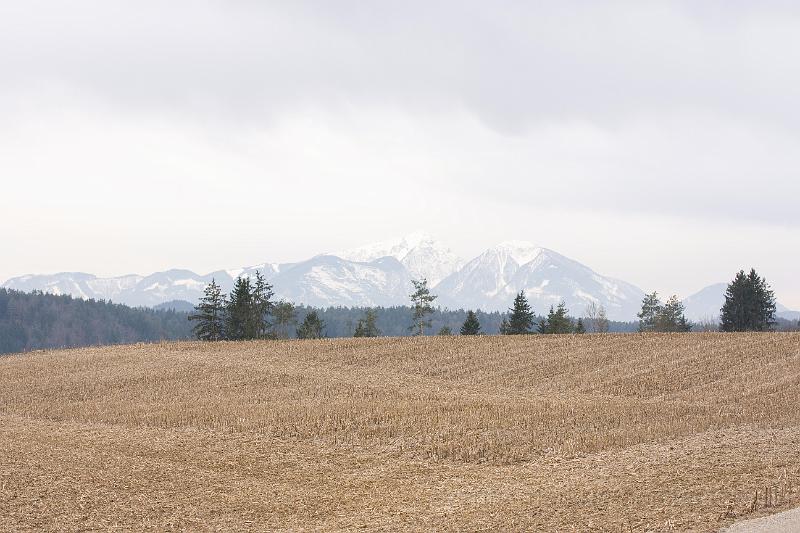 _MG_2299.jpg