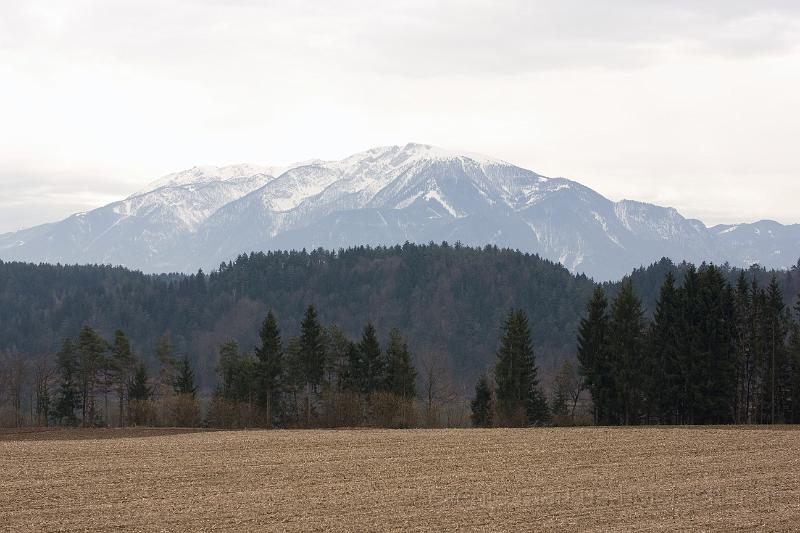 _MG_2301.jpg