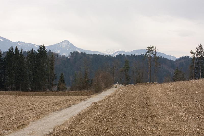 _MG_2304.jpg