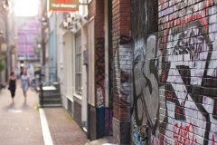 _MG_0251