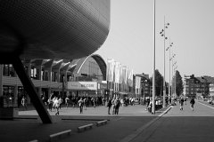 _MG_9964