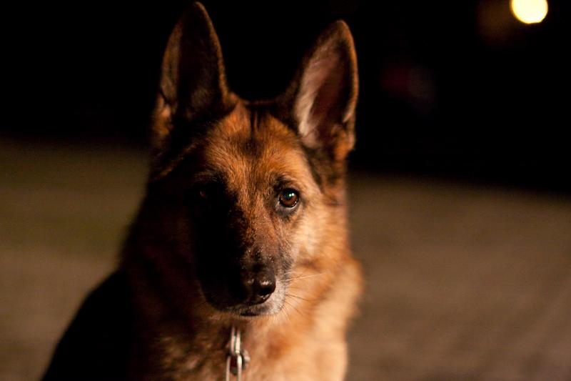 _MG_0061.jpg