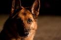 _MG_0056