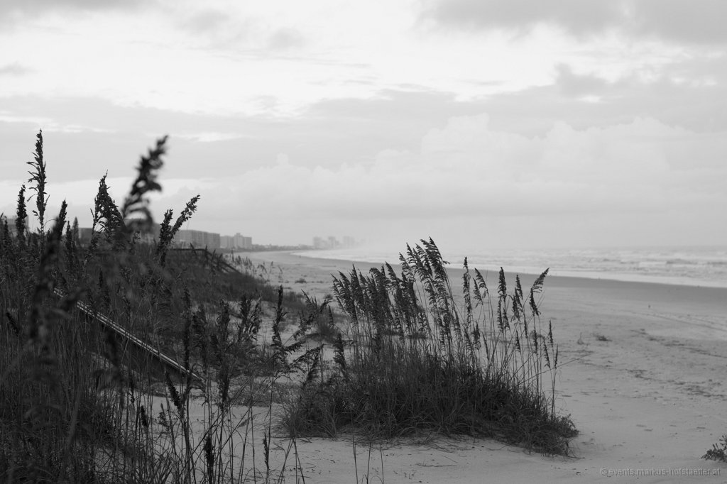 _MG_1740.jpg