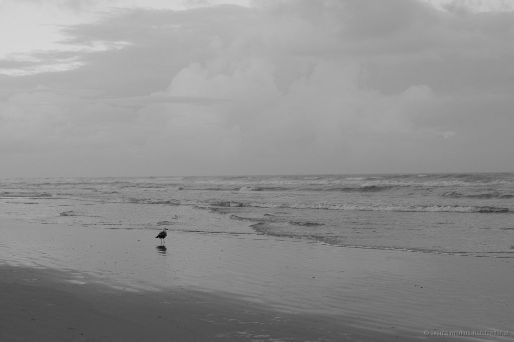 _MG_1754.jpg
