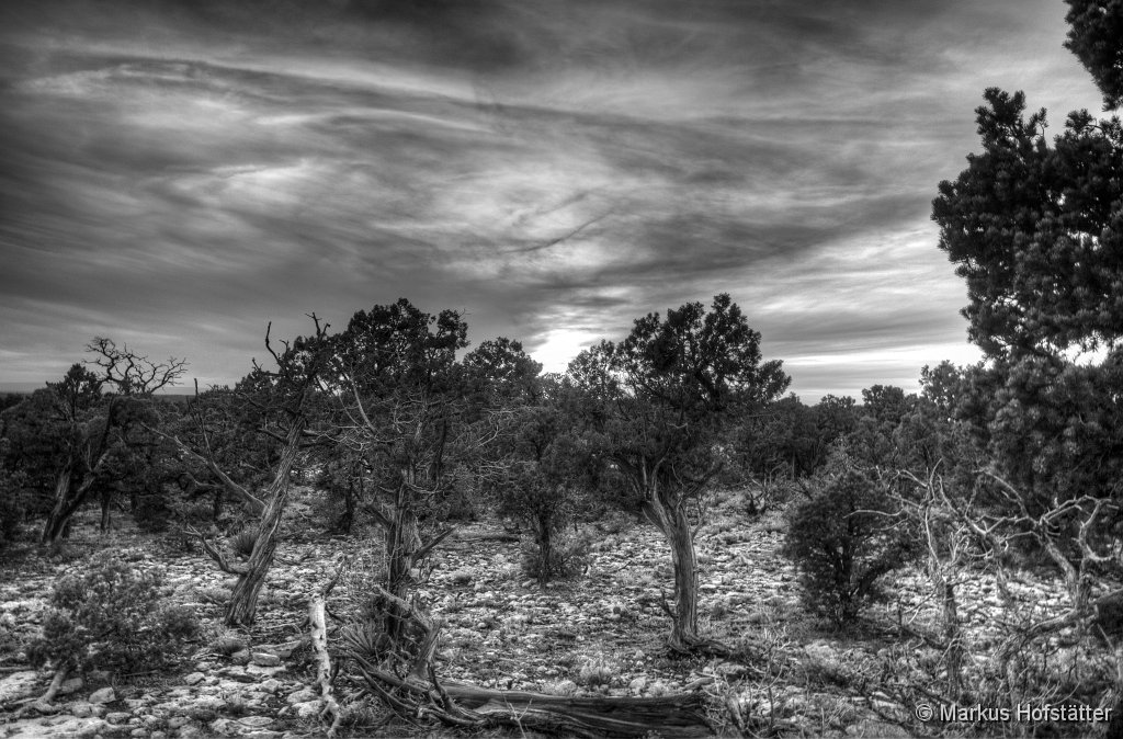 _MG_7317_8_9.jpg - Sometimes black and white is enough