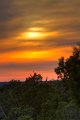 IMG_6800_1_2