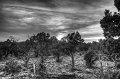 _MG_7317_8_9