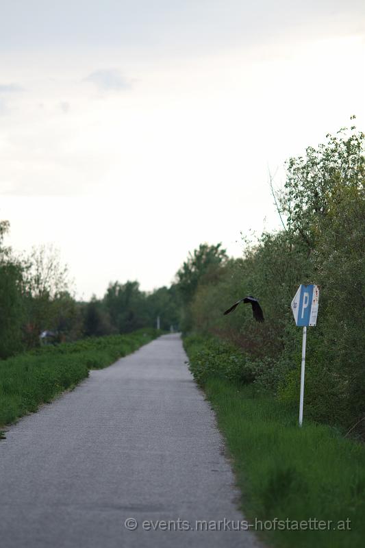 IMG_5537.jpg