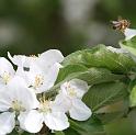 IMG_5185